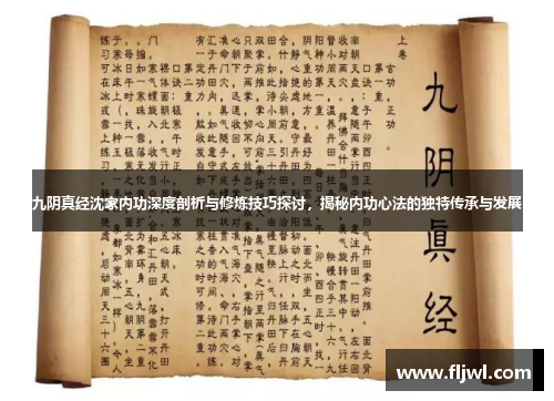 九阴真经沈家内功深度剖析与修炼技巧探讨,揭秘内功心法的独特传承与发展