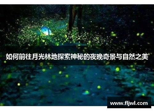 如何前往月光林地探索神秘的夜晚奇景与自然之美